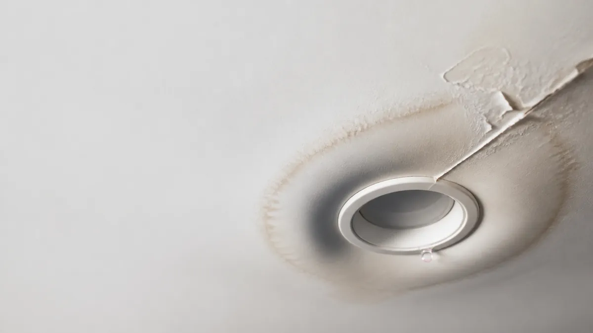 A ceiling with a brown water stain and bubbling paint around a recessed light fixture.